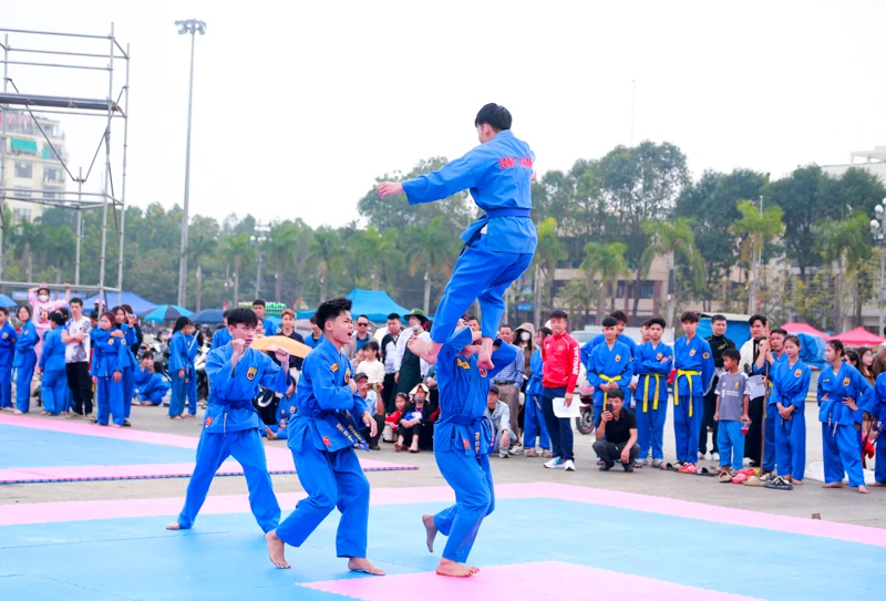 Vovinam - Tinh hoa võ Việt lan tỏa những ngày đầu xuân 266d5174523t1800l1 dg5d41182