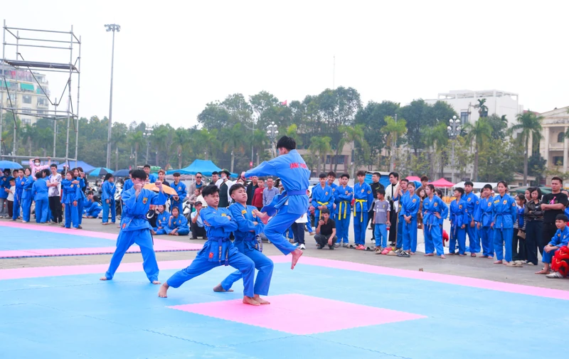 Vovinam - Tinh hoa võ Việt lan tỏa những ngày đầu xuân 266d5174806t1800l1 dg5d41165