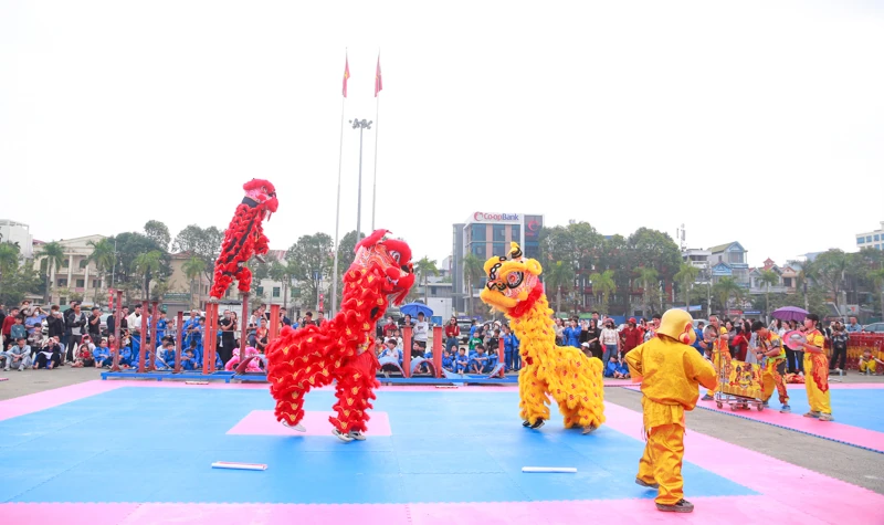 Vovinam - Tinh hoa võ Việt lan tỏa những ngày đầu xuân 266d5174948t1800l1 dg5d40855