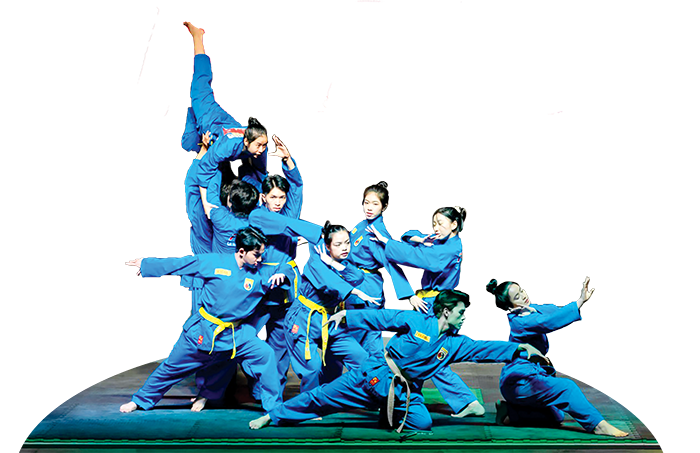 BAOCANTHO BAOXUAN2026 61