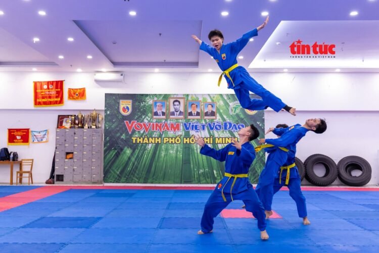 vovinam3