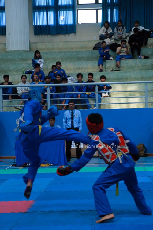 img 99451 639098078366555513