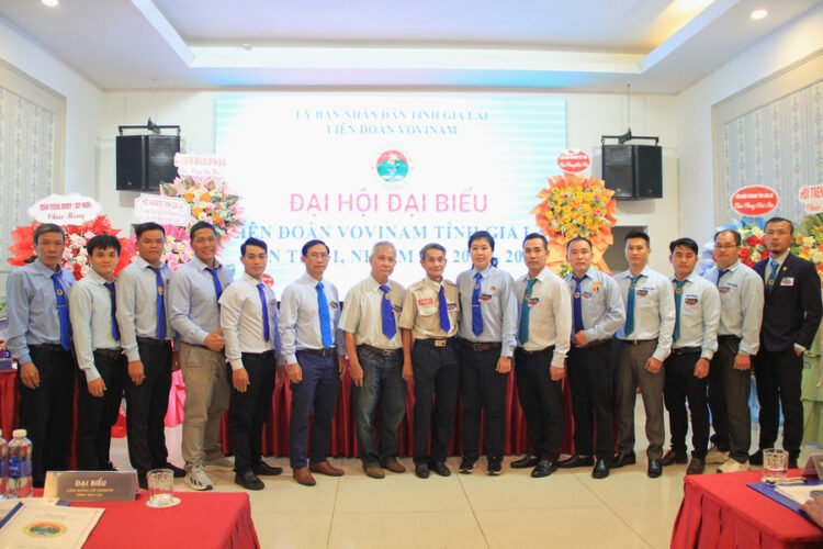 ra mat bch lien doan vovinam tinh gia lai lan thu i nhiem ky 2026 2031